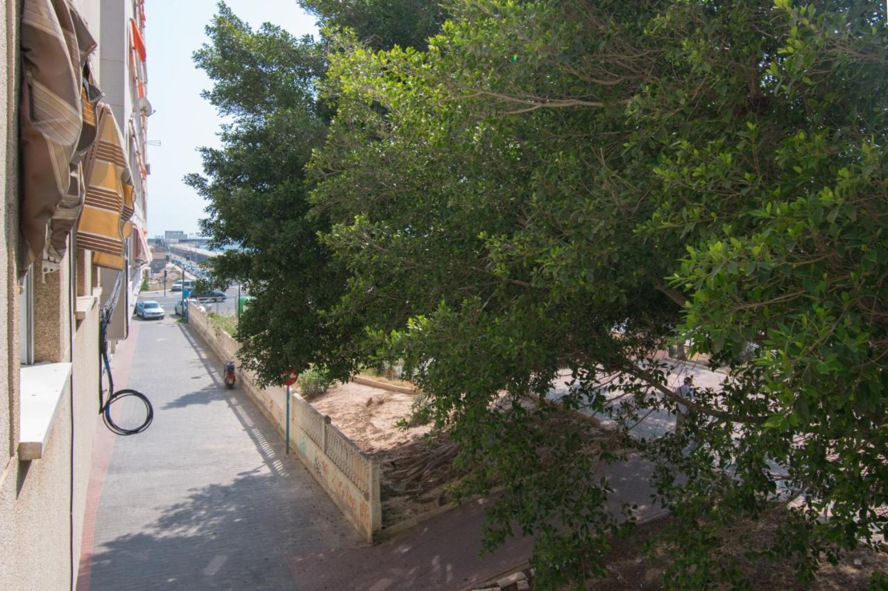 113 Beach And Trees - Alicante Holiday Τορεβιέχα Εξωτερικό φωτογραφία